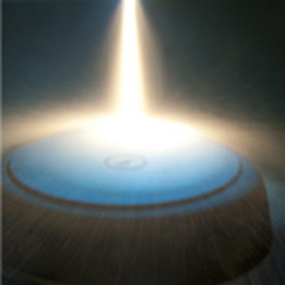 Pfannen Joschi Brat-Kasserolle 20cm für alle Herdarten (inklusiv Induktion)