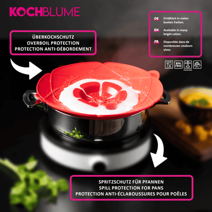 Kochblume M 14-20 cm